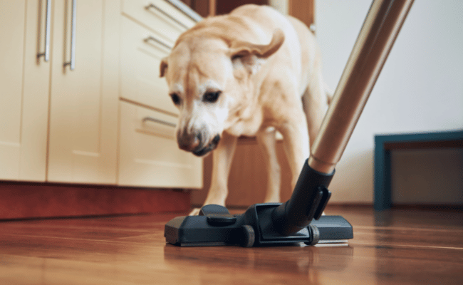 This is a Pet Vacuum Cleaner