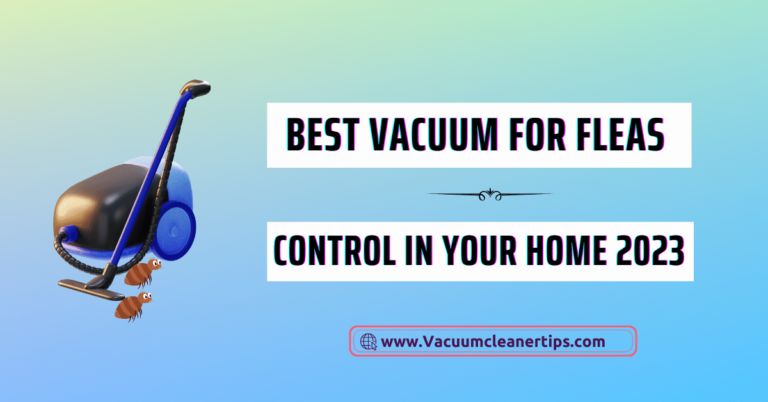 Best vacuum for fleas