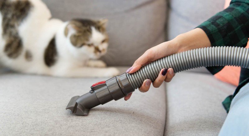 How Do I Remove Pet Hair from the Vacuum Cleaner?