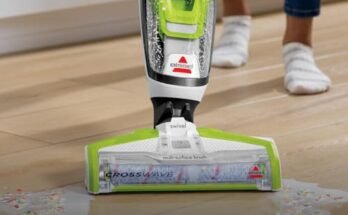 Best Vacuum for Fleas