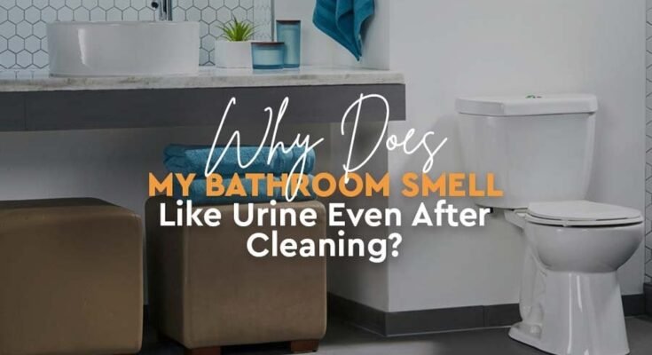 Bathroom Smell Like Urine Even After Cleaning