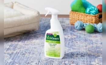 Best Cleaner For Cat Urine In Carpet