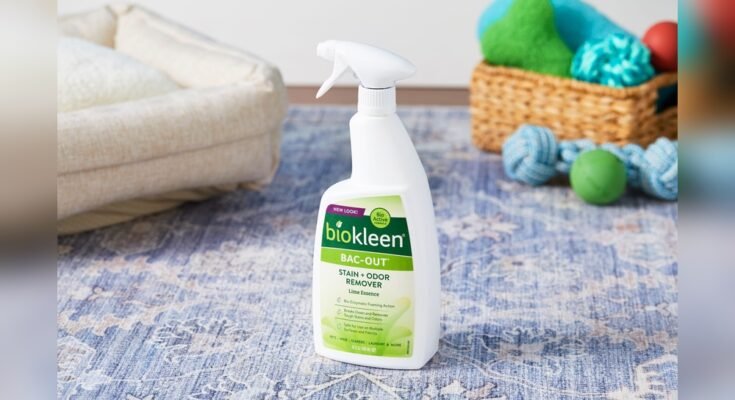 Best Cleaner For Cat Urine In Carpet