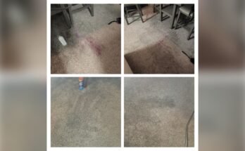 Can I Leave Vinegar On Carpet Overnight