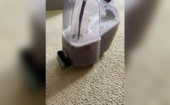 Can I Put Vinegar In Bissell Carpet Cleaner
