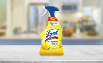 Can Lysol Bathroom Cleaner Be Used In The Kitchen