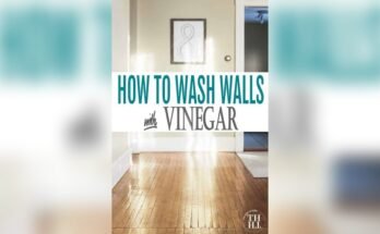 Can You Leave Vinegar On Walls