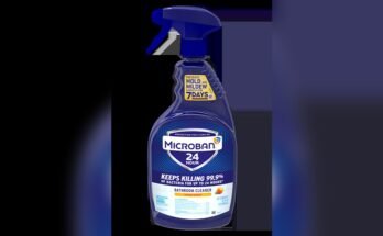 Does Bathroom Cleaner Kill Mold