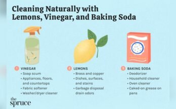 Homemade Cleaning Agents And Their Uses