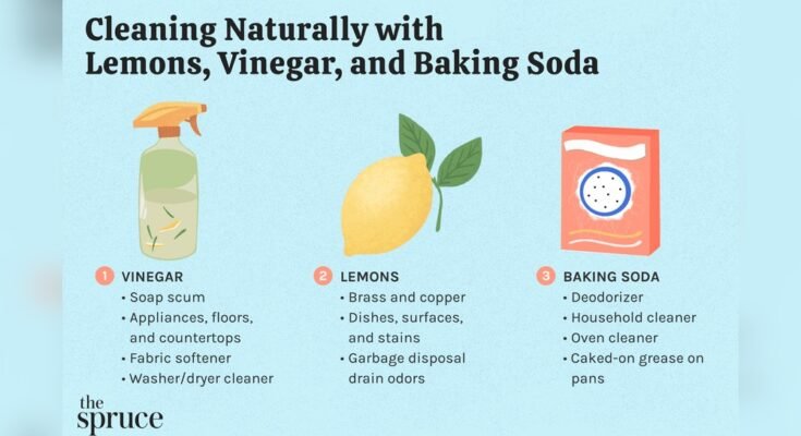 Homemade Cleaning Agents And Their Uses