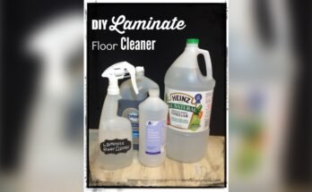 Homemade Cleaning Solution For Laminate Floors