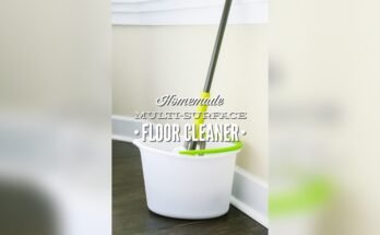 Homemade Floor Cleaner For Mopping Without Vinegar