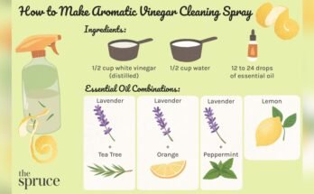 Homemade Spray Cleaner With Vinegar