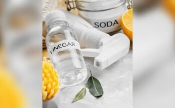 How Long Can I Leave Vinegar On Mold Overnight