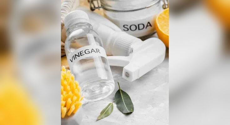 How Long Can I Leave Vinegar On Mold Overnight