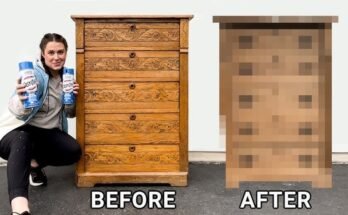 How Long Do You Leave Oven Cleaner On Wood