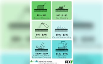 How Much Does A Professional Carpet Cleaner Cost