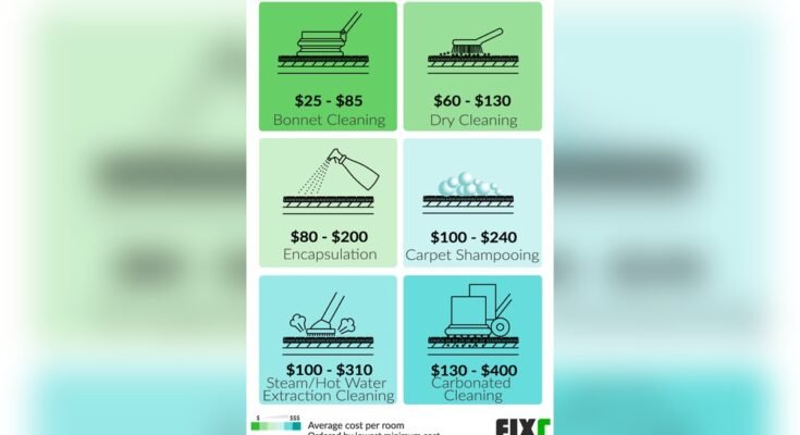 How Much Does A Professional Carpet Cleaner Cost