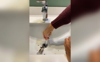 How To Clean A Clogged Bathroom Sink