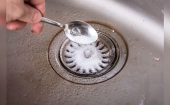 How To Clean A Smelly Drain Naturally
