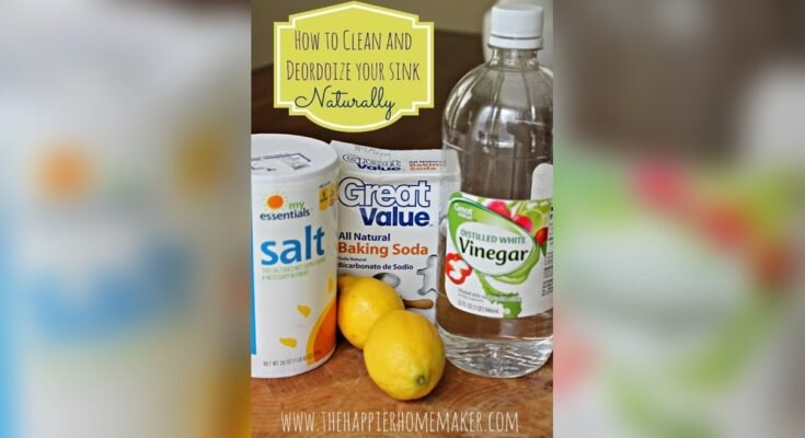 How To Clean A Stainless Steel Sink Naturally