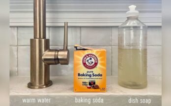 How To Clean A Stainless Steel Sink With Baking Soda