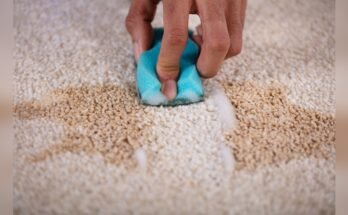 How To Clean Deep Carpet Stains