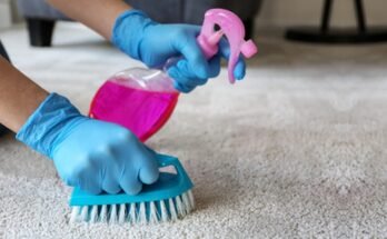 How To Clean Your Carpet Without A Vacuum Cleaner