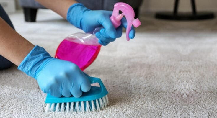 How To Clean Your Carpet Without A Vacuum Cleaner