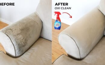 How To Clean Your Sofa At Home Without A Vacuum Cleaner