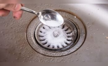 How To Fix Smelly Bathroom Floor Drains