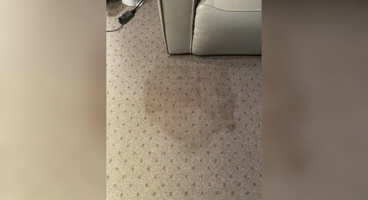How To Get Brown Water Stains Out Of Carpet