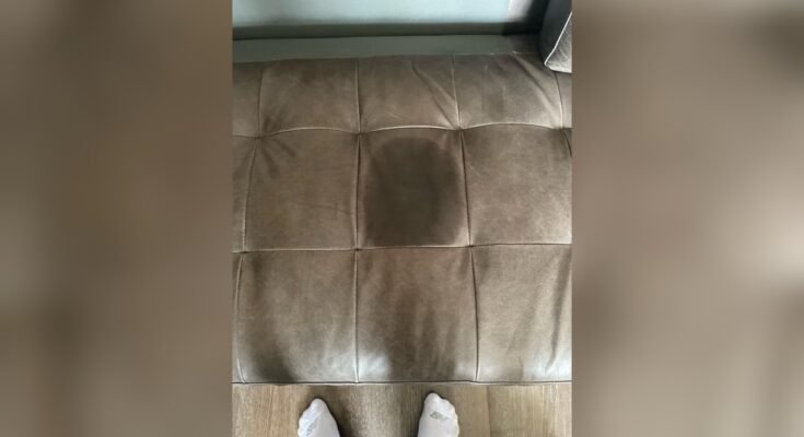 How To Get Dog Pee Out Of A Leather Couch