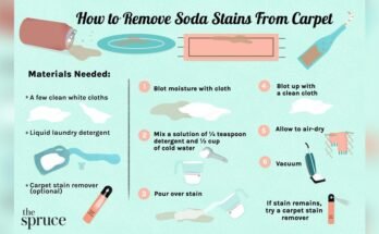 How To Get Old Soda Stains Out Of Carpet