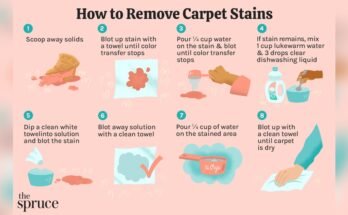 How To Get Old Stains Out Of Carpet With Home Remedies
