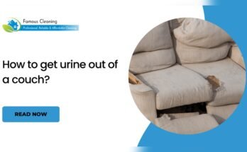 How To Get Pee Out Of A Fabric Couch