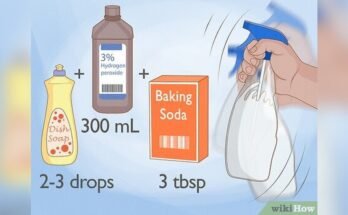 How To Get The Smell Of Pee Out Of A Couch