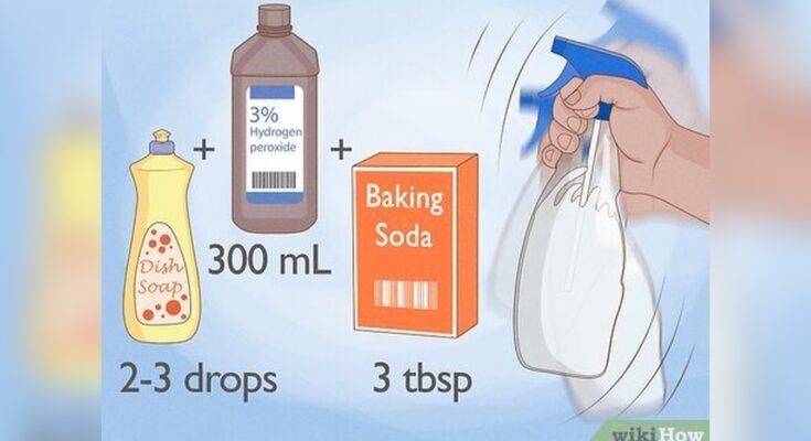 How To Get The Smell Of Pee Out Of A Couch