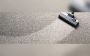 How To Get Toilet Bowl Cleaner Stain Out Of Carpet