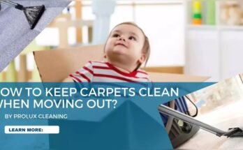 How To Keep Carpet Clean After Cleaning