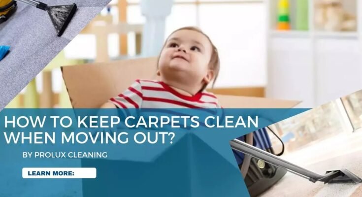 How To Keep Carpet Clean After Cleaning