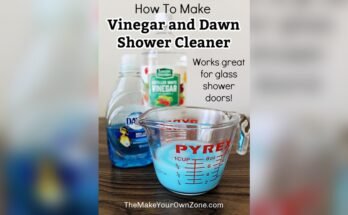How To Make Bathroom Cleaner With Dawn And Vinegar
