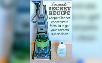 How To Make Homemade Carpet Cleaner For Steam Cleaner