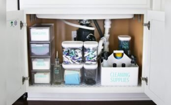 How To Organize Cleaning Supplies Under Your Kitchen Sink