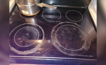 How To Properly Clean An Electric Stovetop