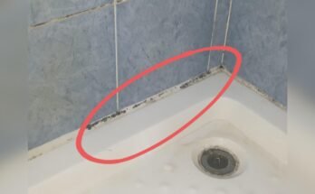 How To Remove Black Mold From Bathtub