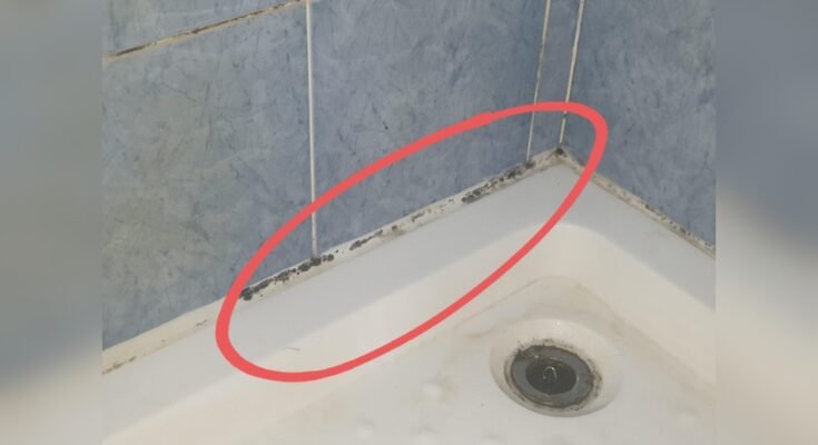 How To Remove Black Mold From Bathtub