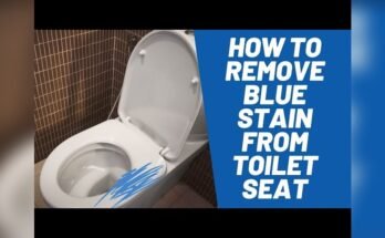 How To Remove Blue Toilet Cleaner Stains From Your Toilet Seat