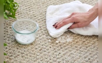 How To Remove Coffee Stains From Carpet Without Vinegar