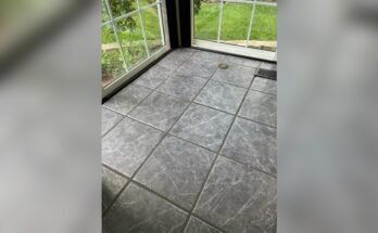 How To Remove Dog Urine Smell From Tile Floors